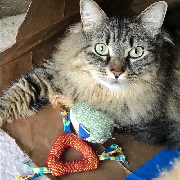 Meet your Posher Ms Jazzing Jersey - Picture 1 of 1